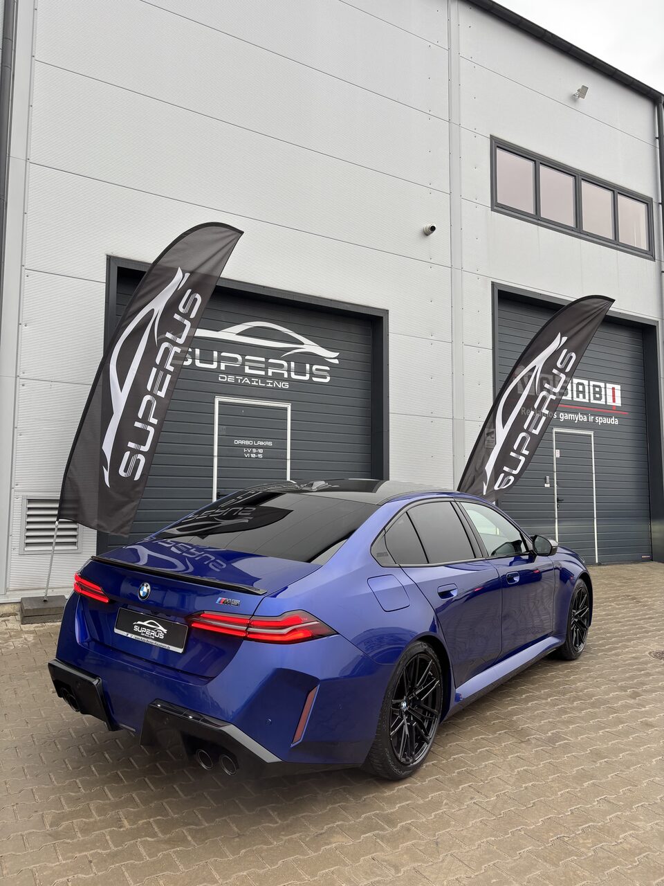 BMW M blue rear